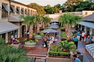 Best Coffee Shops in Hilton Head SC Guide! | The Ultimate Coffee Guide: Types, Brewing Methods & Best Beans