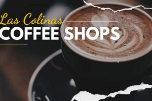 Las Colinas Coffee Shops | The Ultimate Coffee Guide: Types, Brewing Methods & Best Beans