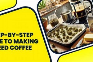 Brewing Bliss: How to Make Weed Coffee Like a Pro! | The Ultimate Coffee Guide: Types, Brewing Methods & Best Beans