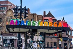 Adams Morgan DC Coffee Shops: Your Cozy Caffeine Guide The Ultimate Coffee Guide: Types, Brewing Methods & Best Beans Adams Morgan DC Coffee Shops: Your Cozy Caffeine Guide | The Ultimate Coffee Guide: Types, Brewing Methods & Best Beans