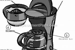 Essential Coffee Maker Pieces: Spares &amp; Repair Tips | The Ultimate Coffee Guide: Types, Brewing Methods & Best Beans