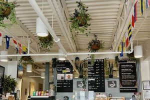 Best Coffee Shop Camden Maine: Your Local Guide | The Ultimate Coffee Guide: Types, Brewing Methods & Best Beans