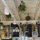 Best Coffee Shop Camden Maine: Your Local Guide | The Ultimate Coffee Guide: Types, Brewing Methods & Best Beans