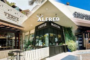 Best Coffee Shops in Glendale CA: Find Your Perfect Brew | The Ultimate Coffee Guide: Types, Brewing Methods & Best Beans
