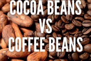 Cacao Beans vs Coffee Beans: The Ultimate Guide! The Ultimate Coffee Guide: Types, Brewing Methods & Best Beans Cacao Beans vs Coffee Beans: The Ultimate Guide! | The Ultimate Coffee Guide: Types, Brewing Methods & Best Beans