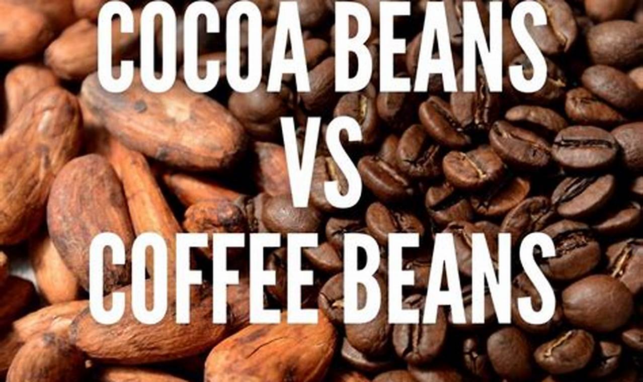 Cacao Beans vs Coffee Beans: The Ultimate Guide! | The Ultimate Coffee Guide: Types, Brewing Methods & Best Beans