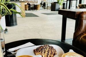 Best Aurora Colorado Coffee Shops: Your Local Guide | The Ultimate Coffee Guide: Types, Brewing Methods & Best Beans