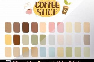 Choose Your Coffee Shop Color Palette: Guide + Ideas | The Ultimate Coffee Guide: Types, Brewing Methods & Best Beans