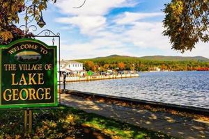 Best Coffee Shops in Lake George, NY: Your Local Guide | The Ultimate Coffee Guide: Types, Brewing Methods & Best Beans