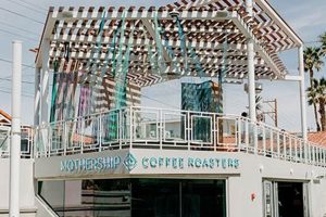 Coffee Shop Downtown Las Vegas | The Ultimate Coffee Guide: Types, Brewing Methods & Best Beans