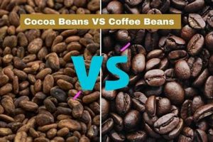 Coffee Beans vs Cocoa Beans: The Ultimate Guide | The Ultimate Coffee Guide: Types, Brewing Methods & Best Beans