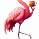 Why a Flamingo Coffee Cup? Cute Mugs! | The Ultimate Coffee Guide: Types, Brewing Methods & Best Beans