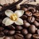 Buy Vanilla Coffee Beans Now! Flavor-Rich Beans | The Ultimate Coffee Guide: Types, Brewing Methods & Best Beans