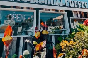 Best Coffee Shops in Point Loma: Your Local Guide | The Ultimate Coffee Guide: Types, Brewing Methods & Best Beans