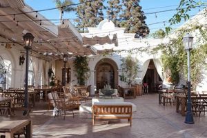 Coffee Shop Santa Barbara | The Ultimate Coffee Guide: Types, Brewing Methods & Best Beans