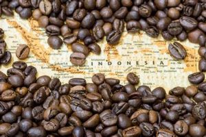 Best Indonesian Coffee Beans: Taste Java & Sumatra | The Ultimate Coffee Guide: Types, Brewing Methods & Best Beans