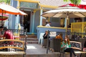 Best Dog Friendly Coffee Shops in Denver, CO Near You | The Ultimate Coffee Guide: Types, Brewing Methods & Best Beans