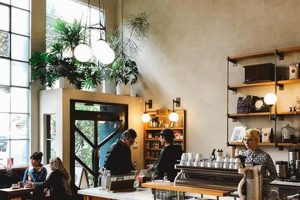 Top Cutest Coffee Shops San Francisco, CA Guide The Ultimate Coffee Guide: Types, Brewing Methods & Best Beans Top Cutest Coffee Shops San Francisco, CA Guide | The Ultimate Coffee Guide: Types, Brewing Methods & Best Beans