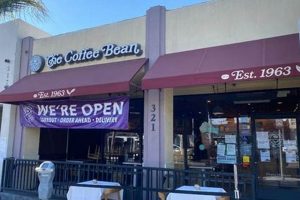 Best Coffee Bean Manhattan: Your Local Guide & More | The Ultimate Coffee Guide: Types, Brewing Methods & Best Beans