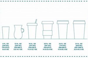 The Science of Coffee Cup Weight Bearing Capacity: Support & Safety The Ultimate Coffee Guide: Types, Brewing Methods & Best Beans The Science of Coffee Cup Weight Bearing Capacity: Support & Safety | The Ultimate Coffee Guide: Types, Brewing Methods & Best Beans