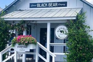 Best Coffee Shops on 30A: Your 30A Coffee Guide The Ultimate Coffee Guide: Types, Brewing Methods & Best Beans Best Coffee Shops on 30A: Your 30A Coffee Guide | The Ultimate Coffee Guide: Types, Brewing Methods & Best Beans