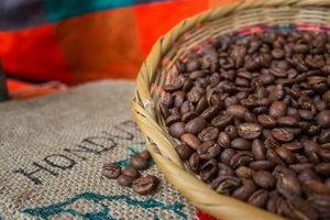 Discover Honduras Coffee Beans: Flavor & Origin The Ultimate Coffee Guide: Types, Brewing Methods & Best Beans Discover Honduras Coffee Beans: Flavor & Origin | The Ultimate Coffee Guide: Types, Brewing Methods & Best Beans