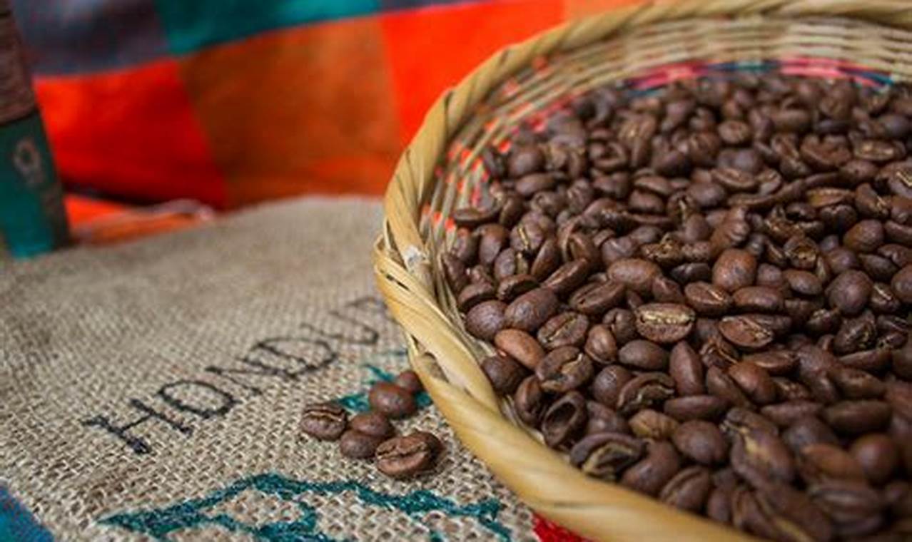 Discover Honduras Coffee Beans: Flavor & Origin | The Ultimate Coffee Guide: Types, Brewing Methods & Best Beans