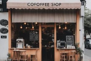 Small Coffee Shop Chicago | The Ultimate Coffee Guide: Types, Brewing Methods & Best Beans
