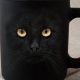 Best Cat Mugs for Coffee Lovers - Cute Coffee Mugs! | The Ultimate Coffee Guide: Types, Brewing Methods & Best Beans