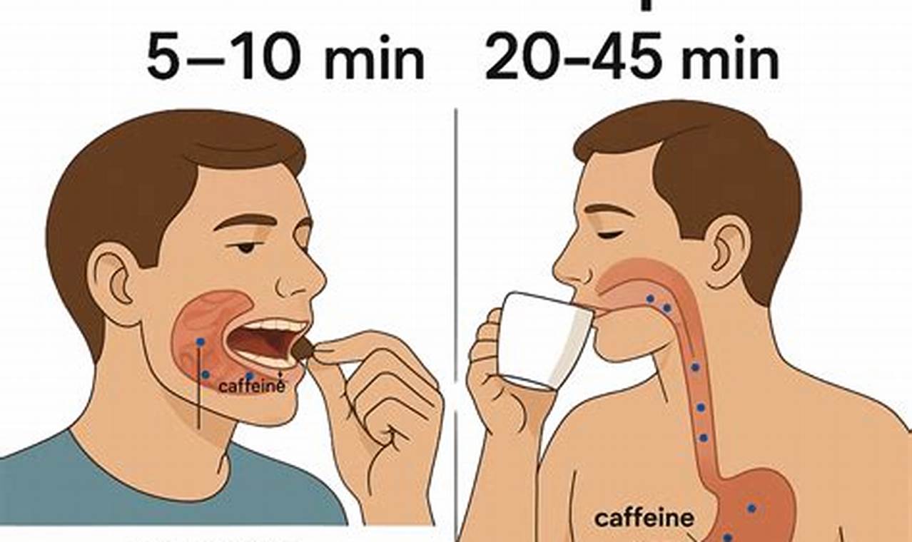 Guide: Chewing Coffee Beans? Benefits & Risks | The Ultimate Coffee Guide: Types, Brewing Methods & Best Beans