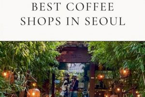 Best Coffee Shops In Seoul The Ultimate Coffee Guide: Types, Brewing Methods & Best Beans Best Coffee Shops In Seoul | The Ultimate Coffee Guide: Types, Brewing Methods & Best Beans