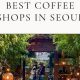 Best Coffee Shops In Seoul | The Ultimate Coffee Guide: Types, Brewing Methods & Best Beans