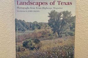 Explore Texas: A Captivating Coffee Table Book The Ultimate Coffee Guide: Types, Brewing Methods & Best Beans Explore Texas: A Captivating Coffee Table Book | The Ultimate Coffee Guide: Types, Brewing Methods & Best Beans