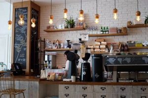 Coffee Shop For Rent | The Ultimate Coffee Guide: Types, Brewing Methods & Best Beans