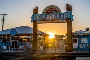 Best Coffee Shops in Cocoa Beach: Your Caffeine Guide The Ultimate Coffee Guide: Types, Brewing Methods & Best Beans Best Coffee Shops in Cocoa Beach: Your Caffeine Guide | The Ultimate Coffee Guide: Types, Brewing Methods & Best Beans