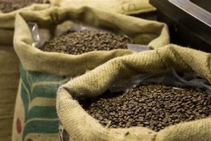 Buy Bulk: Premium Wholesale Roasted Coffee Beans - Deals! The Ultimate Coffee Guide: Types, Brewing Methods & Best Beans Buy Bulk: Premium Wholesale Roasted Coffee Beans - Deals! | The Ultimate Coffee Guide: Types, Brewing Methods & Best Beans