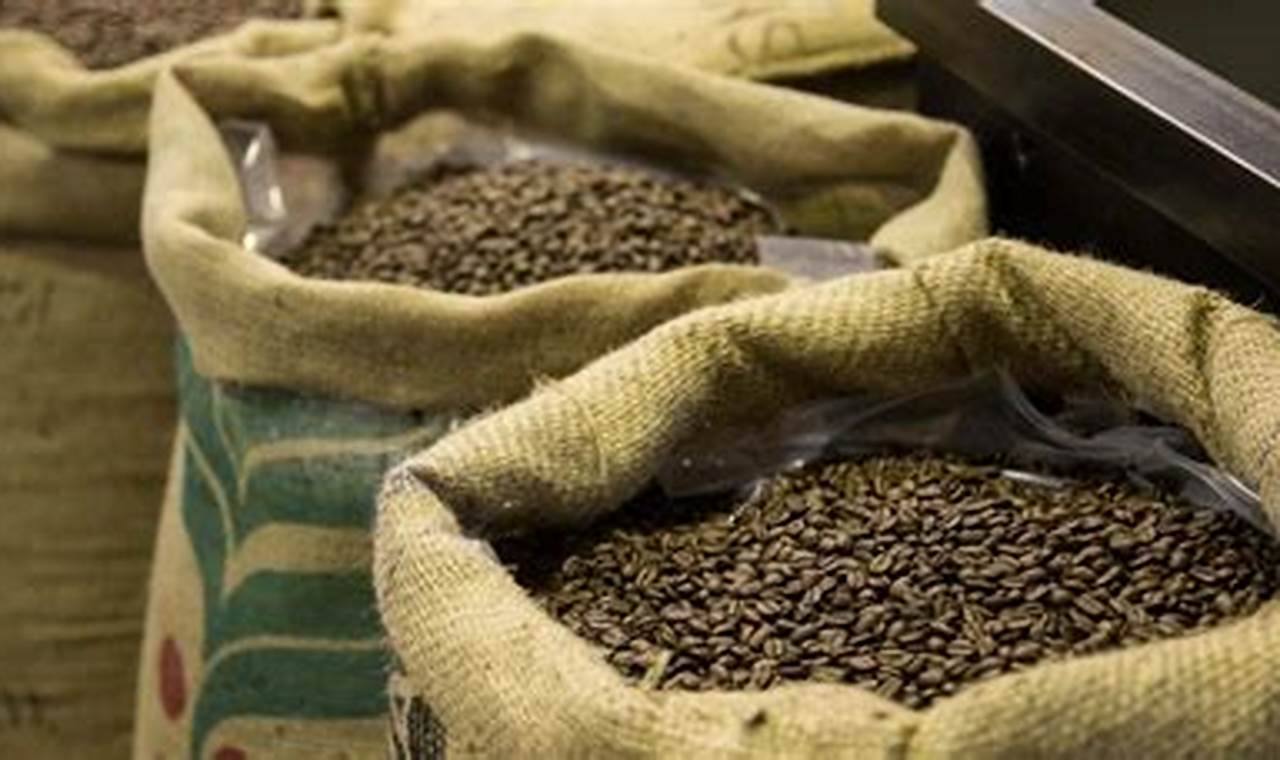 Buy Bulk: Premium Wholesale Roasted Coffee Beans - Deals! The Ultimate Coffee Guide: Types, Brewing Methods & Best Beans Buy Bulk: Premium Wholesale Roasted Coffee Beans - Deals! | The Ultimate Coffee Guide: Types, Brewing Methods & Best Beans