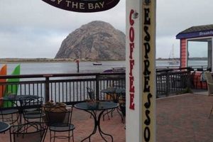 Best Coffee Shop in Morro Bay: Local Brews & Views | The Ultimate Coffee Guide: Types, Brewing Methods & Best Beans
