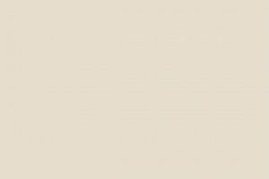 Discover Cream in My Coffee Paint Color Ideas + More! | The Ultimate Coffee Guide: Types, Brewing Methods & Best Beans