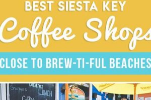 Siesta Key Coffee Shop The Ultimate Coffee Guide: Types, Brewing Methods & Best Beans Siesta Key Coffee Shop | The Ultimate Coffee Guide: Types, Brewing Methods & Best Beans