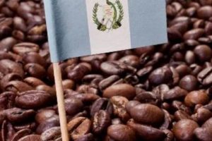 Best Guatemalan Coffee Beans: Flavor & Origin Guide | The Ultimate Coffee Guide: Types, Brewing Methods & Best Beans