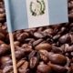 Best Guatemalan Coffee Beans: Flavor & Origin Guide | The Ultimate Coffee Guide: Types, Brewing Methods & Best Beans