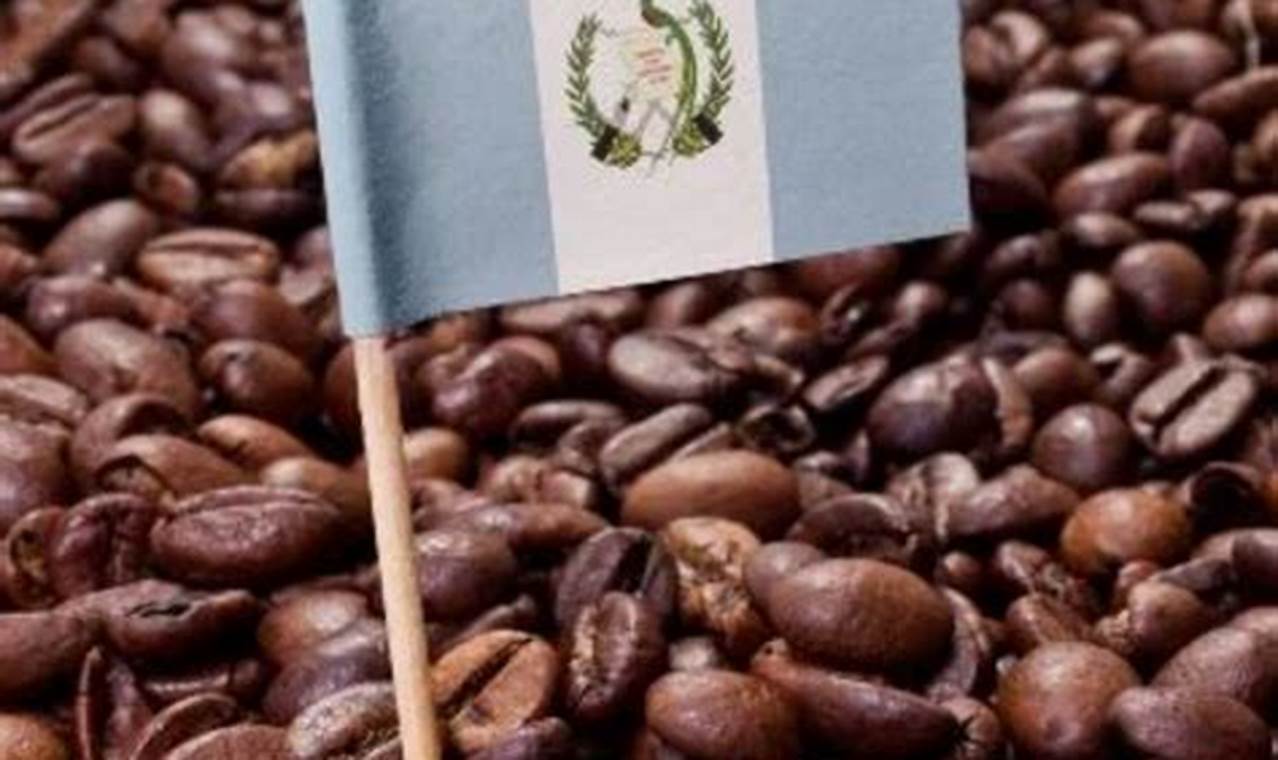 Best Guatemalan Coffee Beans: Flavor & Origin Guide | The Ultimate Coffee Guide: Types, Brewing Methods & Best Beans