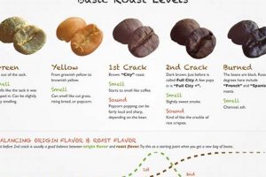 Best Ways: How to Flavor Coffee Beans at Home - Guide | The Ultimate Coffee Guide: Types, Brewing Methods & Best Beans