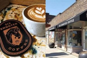 Best Coffee Shops in Findlay, OH: Your Guide | The Ultimate Coffee Guide: Types, Brewing Methods & Best Beans