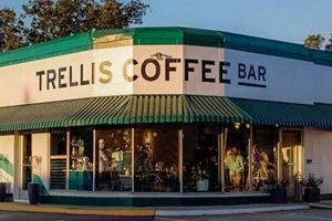 Best Coffee Shops in Albany GA: Find Your Perfect Brew! | The Ultimate Coffee Guide: Types, Brewing Methods & Best Beans