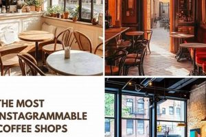 Instagrammable Coffee Shops | The Ultimate Coffee Guide: Types, Brewing Methods & Best Beans