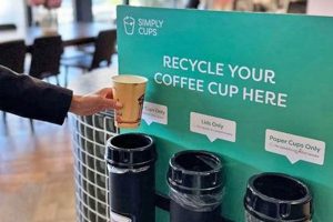Coffee Cups: Are Coffee Cups Recyclable? Facts & Tips | The Ultimate Coffee Guide: Types, Brewing Methods & Best Beans