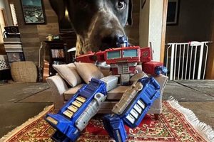 Best Transformers Coffee Table: Space-Saving Style | The Ultimate Coffee Guide: Types, Brewing Methods & Best Beans