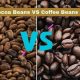 Best Cocoa and Coffee Beans: A Brew-tiful Guide! | The Ultimate Coffee Guide: Types, Brewing Methods & Best Beans
